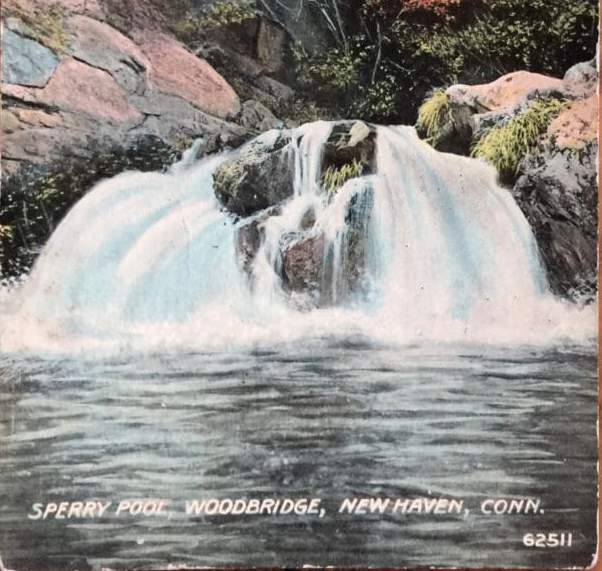 A very Sperry visit to Woodbridge in the summer of 1895
