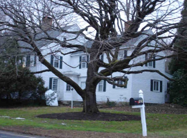 131_ansonia_rd_2009
