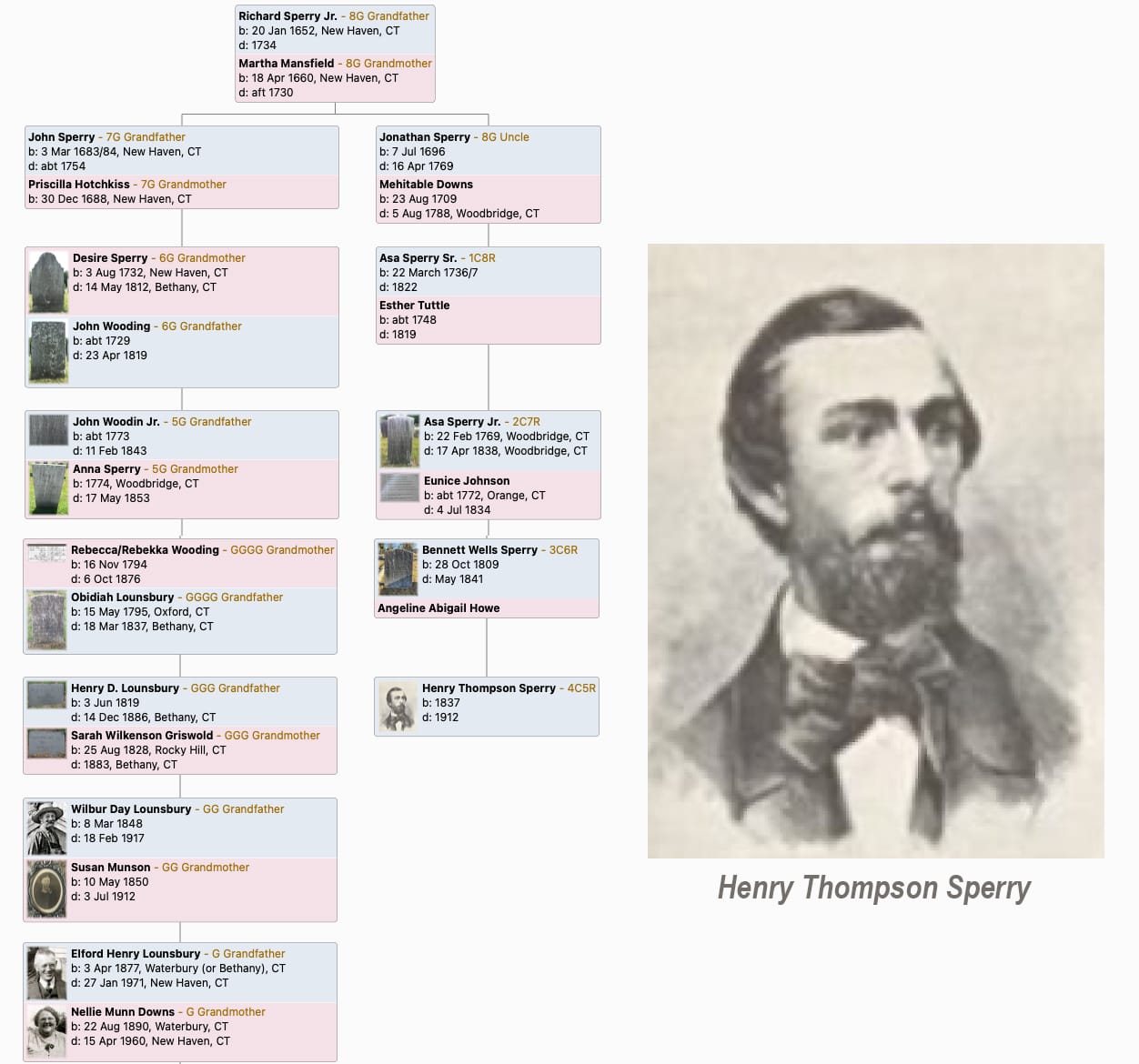 family tree