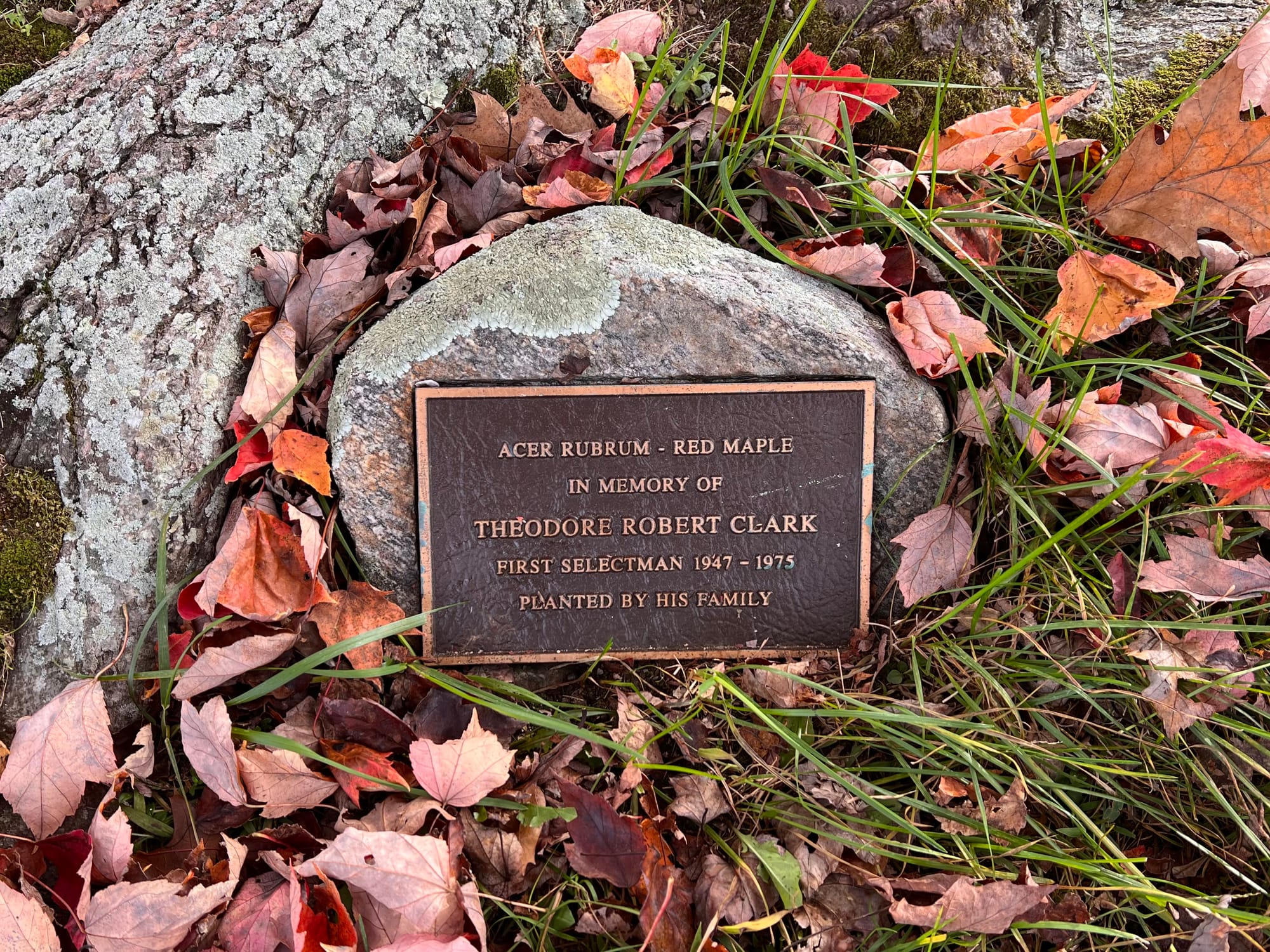 A history-making close election in Woodbridge — in May 1973