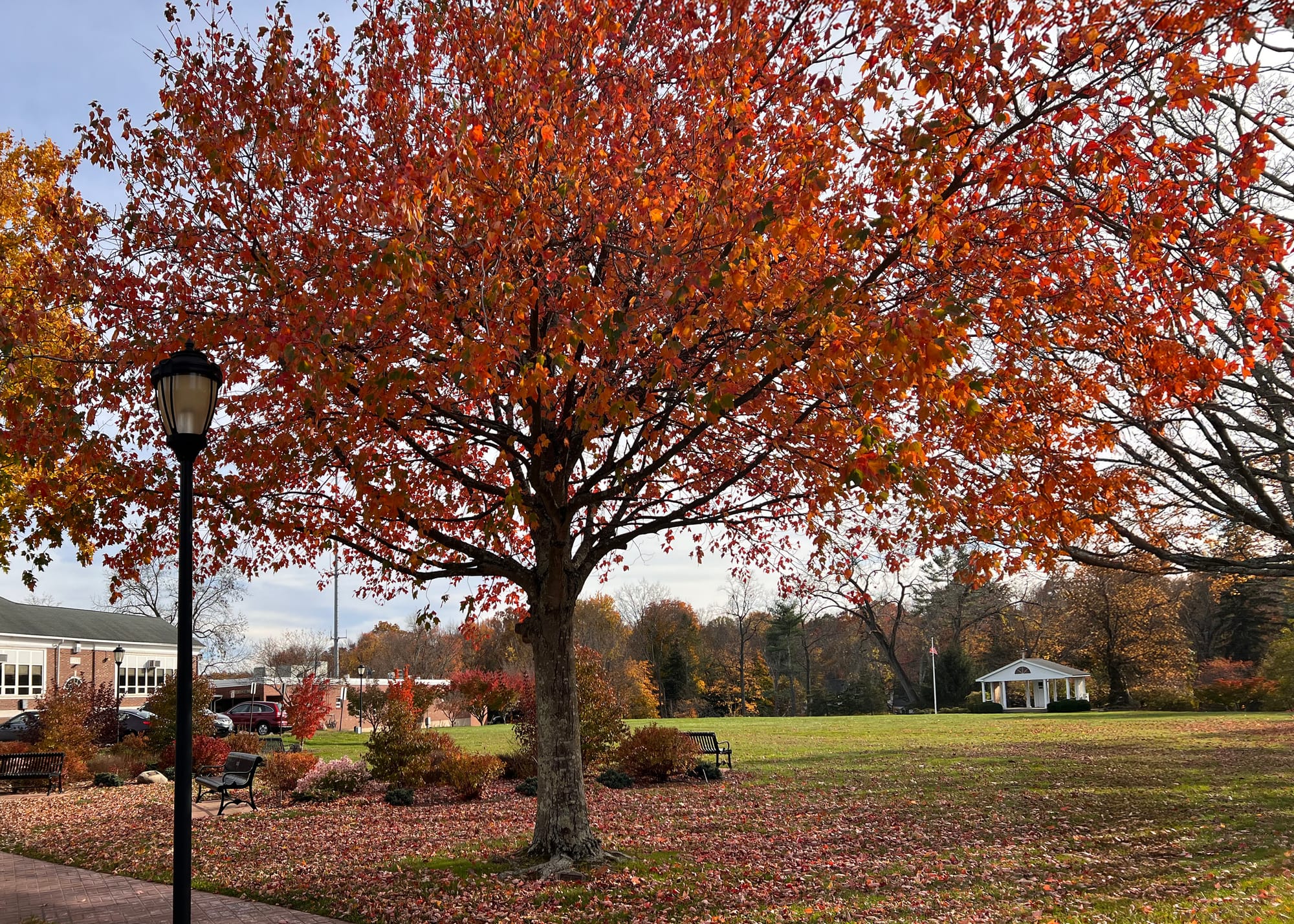 A history-making close election in Woodbridge — in May 1973