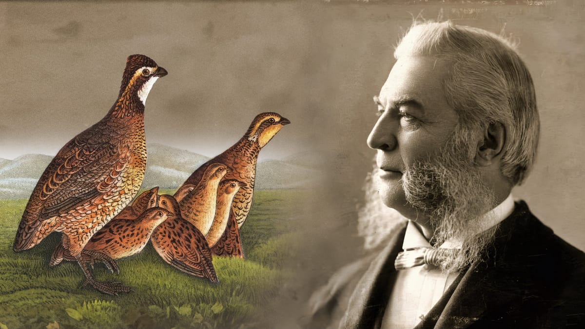 Birds of a feather: balancing conservation with hunting traditions in the early 1900s