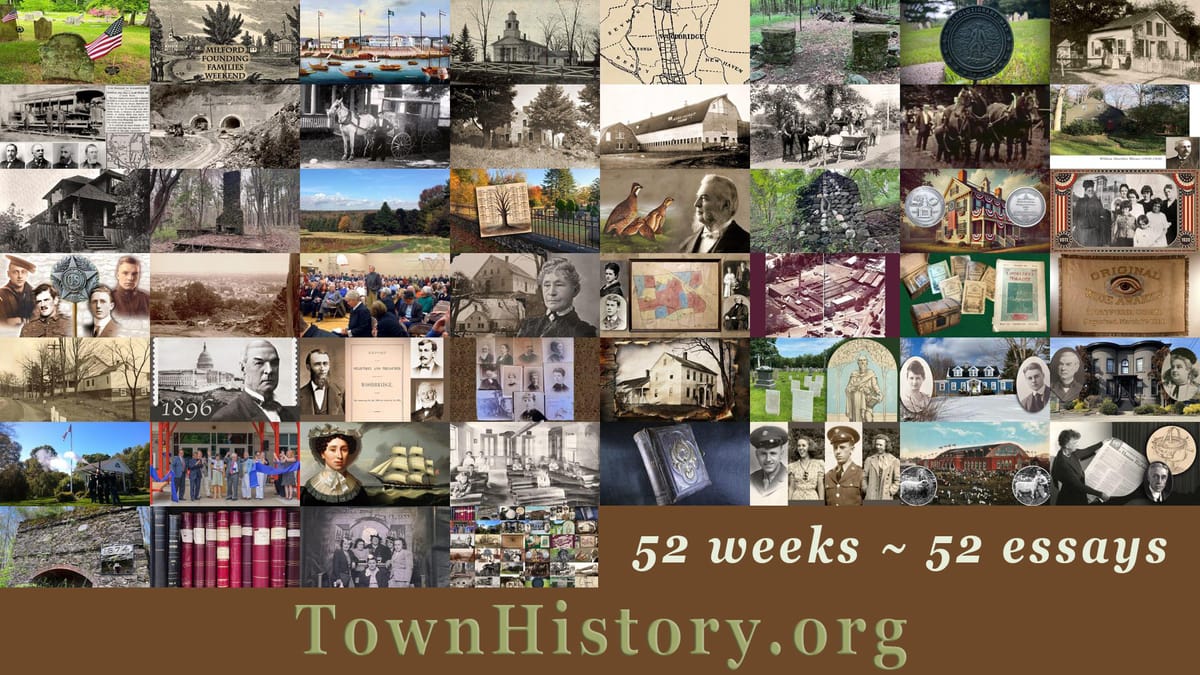 52 weeks and 52 essays: A year of local history